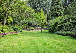 Optimiser l'expérience du jardin à Chalamont